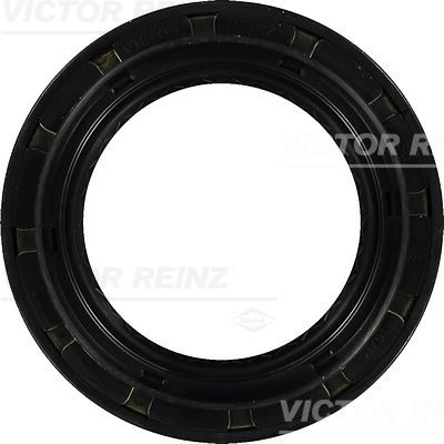 812940800 VICTOR REINZ